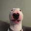 walter icon